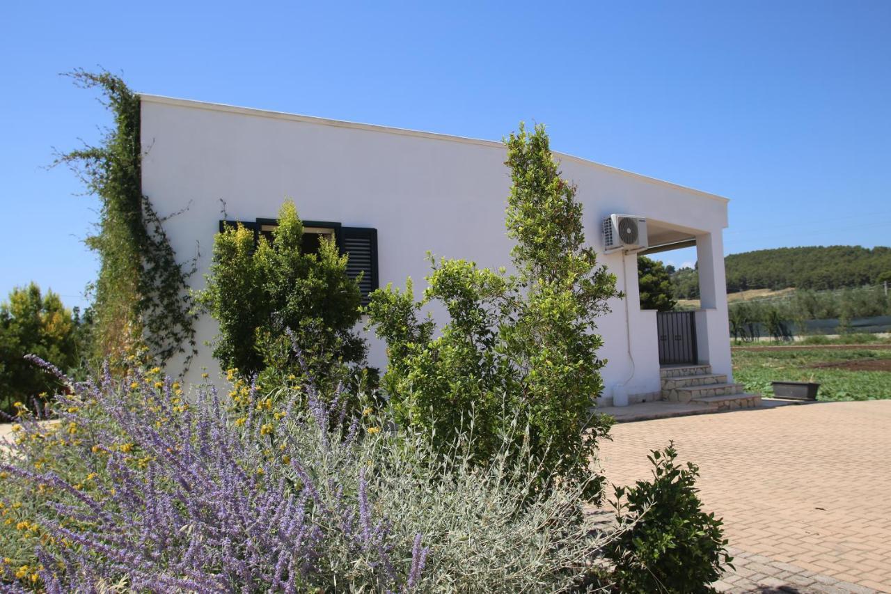 Annaluce Apartments Vieste Exterior foto