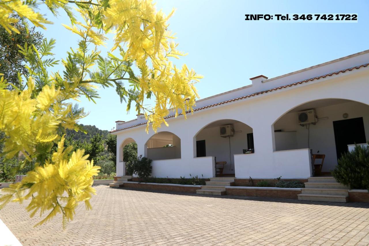 Annaluce Apartments Vieste Exterior foto
